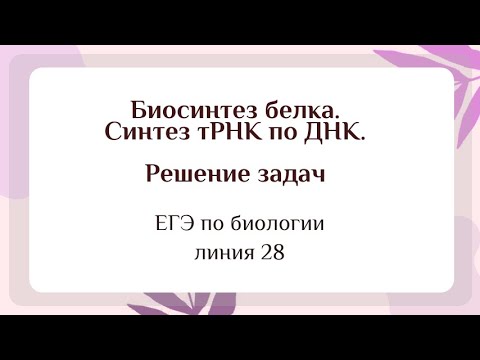 Видео: Задачи на биосинтез белка: синтез тРНК по ДНК (задание 28 ЕГЭ по биологии)