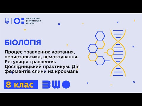 Видео: 8 клас. Біологія. Процес травлення: ковтання, перистальтика, всмоктування. Регуляція травлення