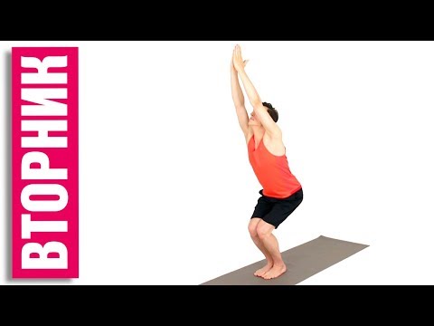 Видео: ЙОГА ВТОРНИК.  Легкие комплексы на 5 дней в неделю