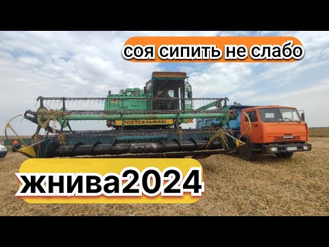 Видео: молотимо сою не гмо!!!мтз1221 діскує!!! ціна на сою падає в низ(((( дон 1500б врожай за 3 тони!!!