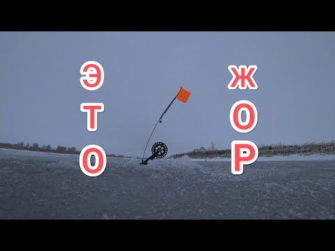 Видео: ЖОР ЩУКИ НА НОВЫЙ ГОД ! Рыбалка на жерлицы