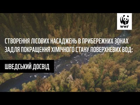 Видео: Шведський досвід створення лісових насаджень в прибережних зонах задля покращення водних ресурсів