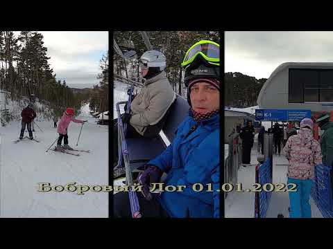 Видео: Бобровый лог 2022