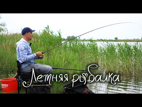 Видео: Летняя рыбалка на фидер на малой реке