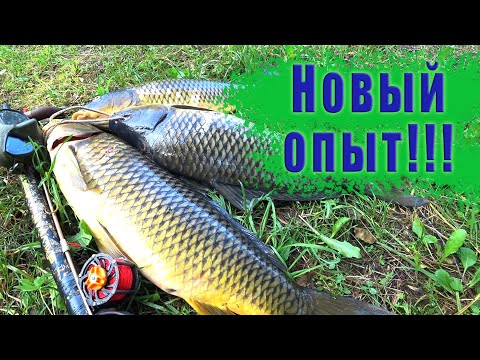 Видео: ПОДВОДНАЯ ОХОТА НА КАРПА!!! ДЕЛЮСЬ НОВЫМ ОПЫТОМ!!!