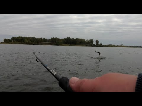 Видео: Приехал на Озеро Уткуль и наловил ЩУК, Трофей в прилове!
