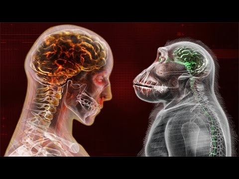 Видео: У-А-А! ► Plague Inc: Evolved #18