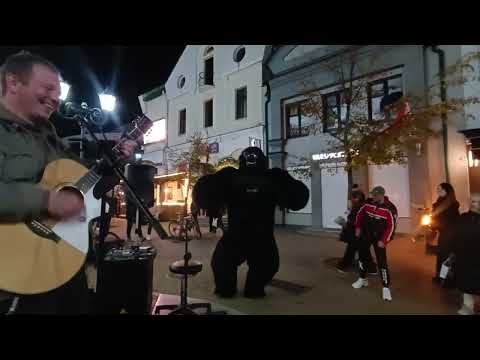 Видео: 05.10.2025 Brest Belarus... Уличные музыканты... Присоединяйтесь... Walks with Victoriа