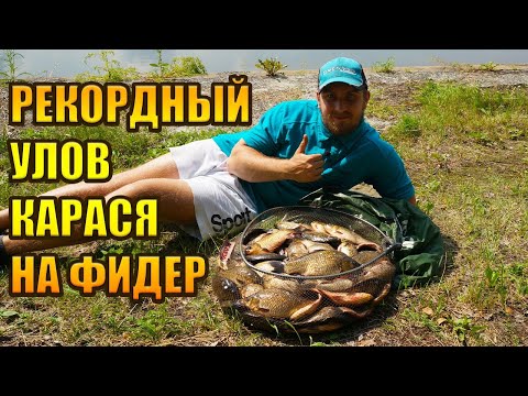 Видео: Рекордный улов карася на фидер. Ловля карася летом в жару. Мега улов на закрытом секретном водоеме.