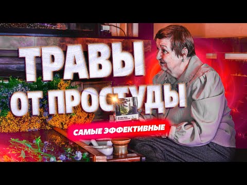 Видео: Самые эффективные травы от простуды и вирусов. Наталья Замятина.
