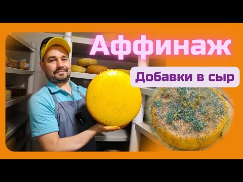 Видео: Летний аффинаж сыров / Сыр с мытой коркой. Бандаж, Обжиг сыра. Подготовка трав и крапивы для сыра