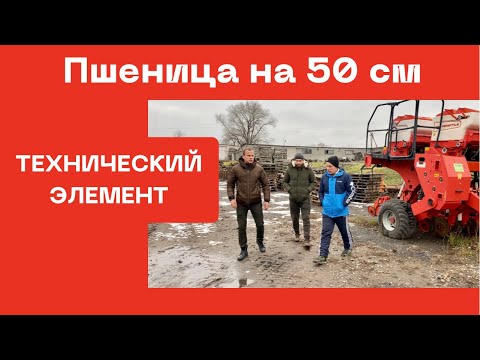 Видео: Пшеница с междурядьем 50 см | Почему 50 и выбор сеялки