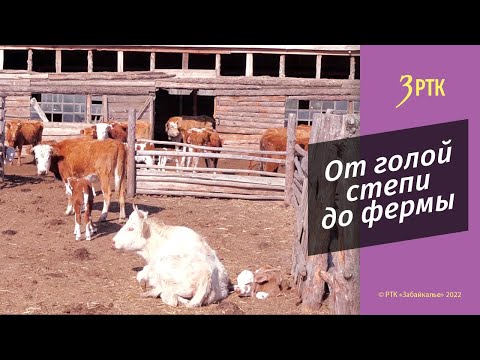 Видео: Вяленое мясо планируют производить молодые фермеры Агинского района