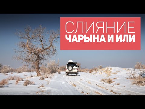 Видео: Еду на слияние рек Чарын и Или. Алматинская обл. Казахстан.
