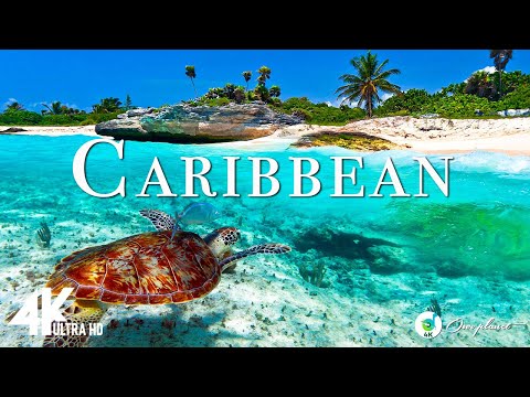 Видео: Caribbean 4K - расслабляющая музыка вместе с красивыми видеороликами - 4K Video Ultra HD