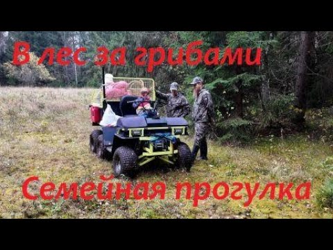 Видео: Прогулка в лес с семьёй за грибами. Покатушки на квадроцикле. Красивая русская осенняя природа.