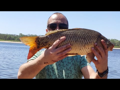 Видео: Запорожье рыбалка на карповых в апреле