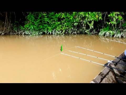 Видео: Я ловил креветок и рыбу, когда река разливалась. Речная рыбалка