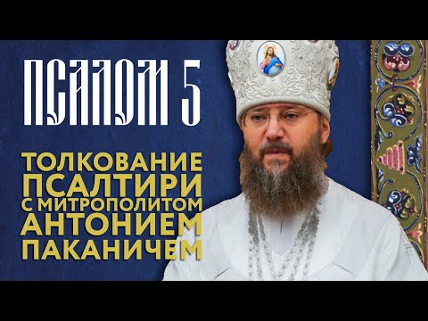 Видео: Толкование Псалтири. Псалом 5.