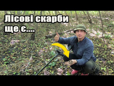 Видео: Неймовірні знахідки в лісі!