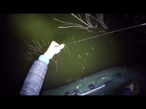 Видео: ПОСТАВУШКИ на НАЛИМА! Ночная рыбалка 2022