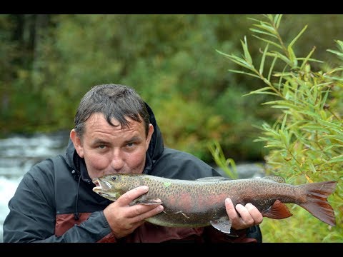 Видео: РЕКА АМЫЛ - 2017 . ЛЕНКОВЫЙ КЛЁВ. подводная съёмка .  VOVAN - ФИЛЬМ .