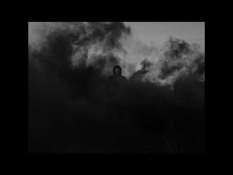 Видео: масло черного тмина — что ты скажешь мусорам, Даник ( slowed + reverb )