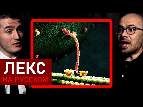 Видео: Может ли ИИ симулировать природу? | Демис Хассабис и Лекс Фридман