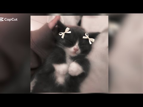 Видео: Утренний плейлист speed up🦋🤍