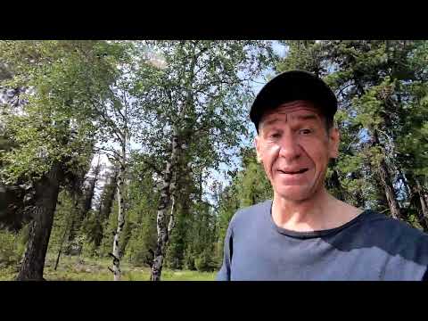 Видео: Отвел душу по язям, пока щуки бастуют. Северный курорт.