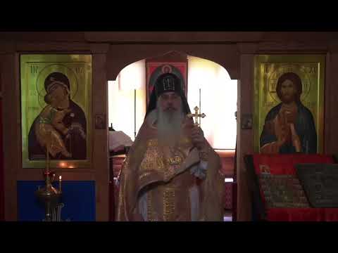 Видео: Мой выбор - стать святым или нет!!! #СхиигуменГАВРИИЛ (Виноградов-Лакербая) #записьПРОПОВЕДИ