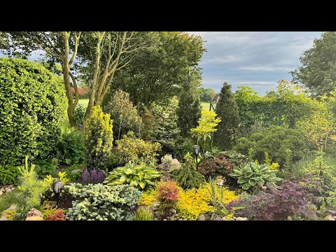 Видео: Приглашаю пройтись по моему саду : что цветёт и какие планы 🌟 Mein Garten