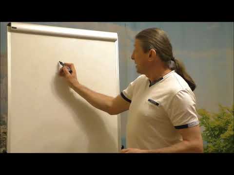 Видео: Диагностика здоровья по системе У-СИН. 2 занятие