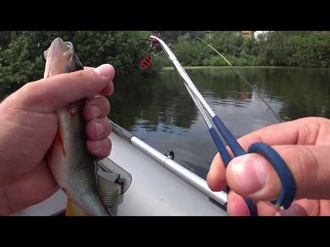 Видео: Ловля окуня на ультралайт с лодки. Окунь на спиннинг. Окунь на вертушку и воблер. Рыбалка на окуня.