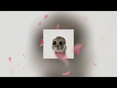 Видео: ♡ Весенний плейлист ♡ Speed up ♡
