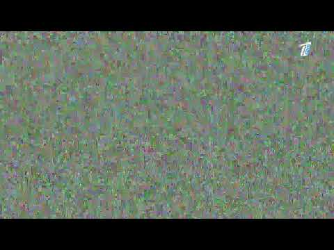 Видео: Кайырлы тан \ Доброе утро