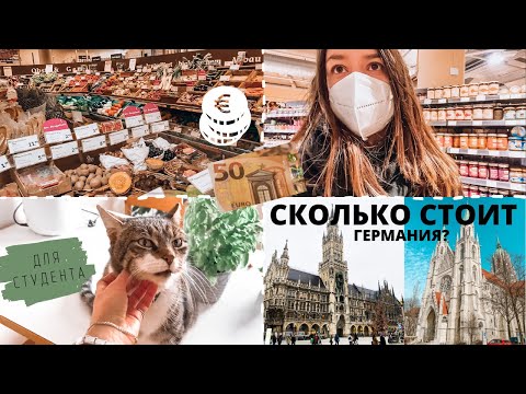 Видео: СКОЛЬКО ДЕНЕГ НУЖНО НА 1 МЕСЯЦ СТУДЕНЧЕСКОЙ ЖИЗНИ В ГЕРМАНИИ?