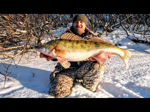 Видео: ТОННЫ рыбы ЕКЛМН или МЕШОК рыбы на хапуги !!! Загонная рыбалка на хапуги 2025. Рыбалка 2025. Рыбалка