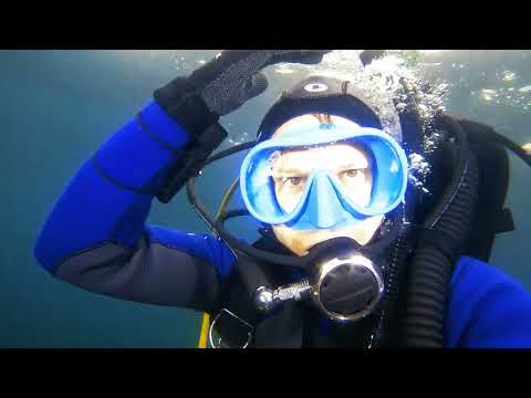 Видео: Ахлестышева, дайвинг,о.Русский. Вот почему пропали осьминоги...