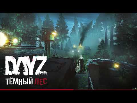 Видео: DAYZ. Сервер Тёмный лес. Крутится волчок
