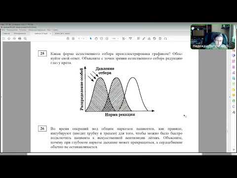 Видео: Разбор 2-й части варианта №4 ПР №5 (Статград, 2022)