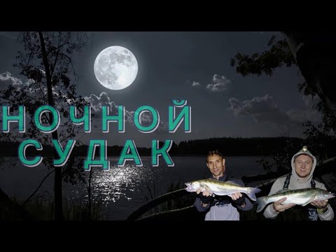 Видео: 🌕ЛОВИМ НОЧЬЮ СУДАКА на воблеры ⚡️ Рыбалка в Новосибирске🦈