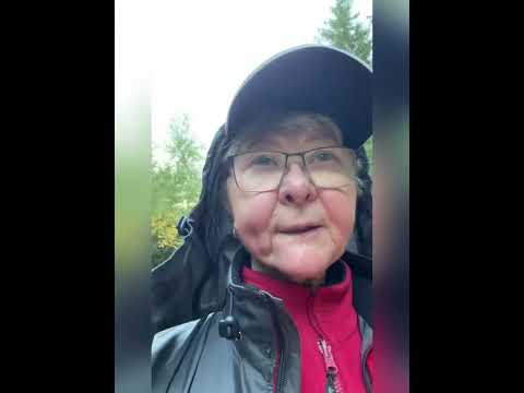 Видео: Второй день в лесу. Угробили грибное место. Реставрация камина. Хинкали на обед.  