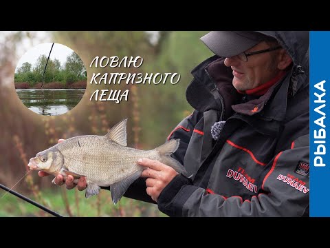Видео: Разловил ЛЕЩА при плохом клёве. Рассказал, что делал!