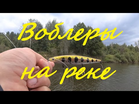 Видео: Воблеры на ЩУКУ или ЩУКА на воблеры