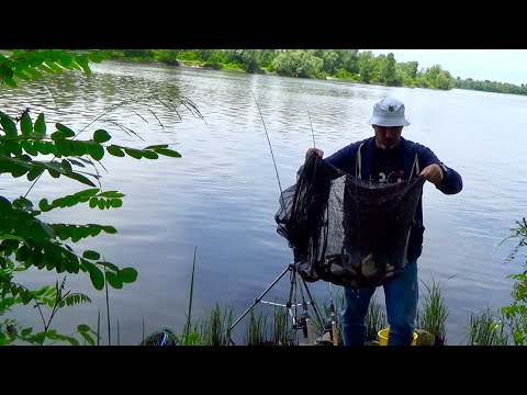 Видео: Рибалка на Десні. Фідер. Мальовничі місця. Червень 2024.