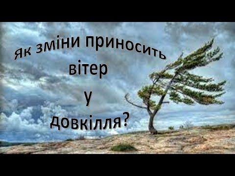 Видео: Урок 31 ""Які зміни приносить вітер у довкілля?" Я досліджую світ 3 клас