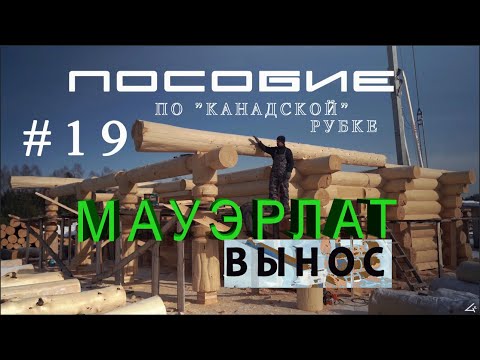 Видео: Рубка сруба #19 Мауэрлат (вынос)