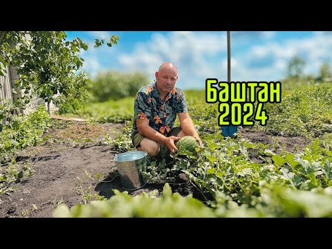Видео: Ким Я Працював у Молодості✅Урожай На Городі 2024🧑‍🌾