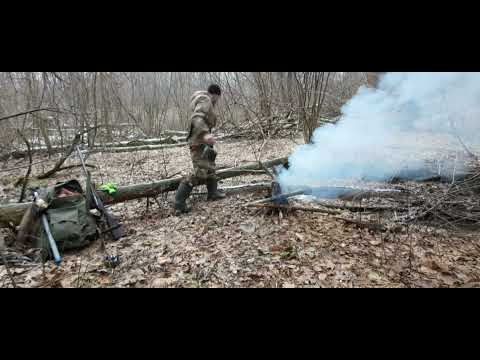 Видео: охота на куницу и норку.